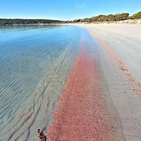 Fronte Mare Al Porticciolo *